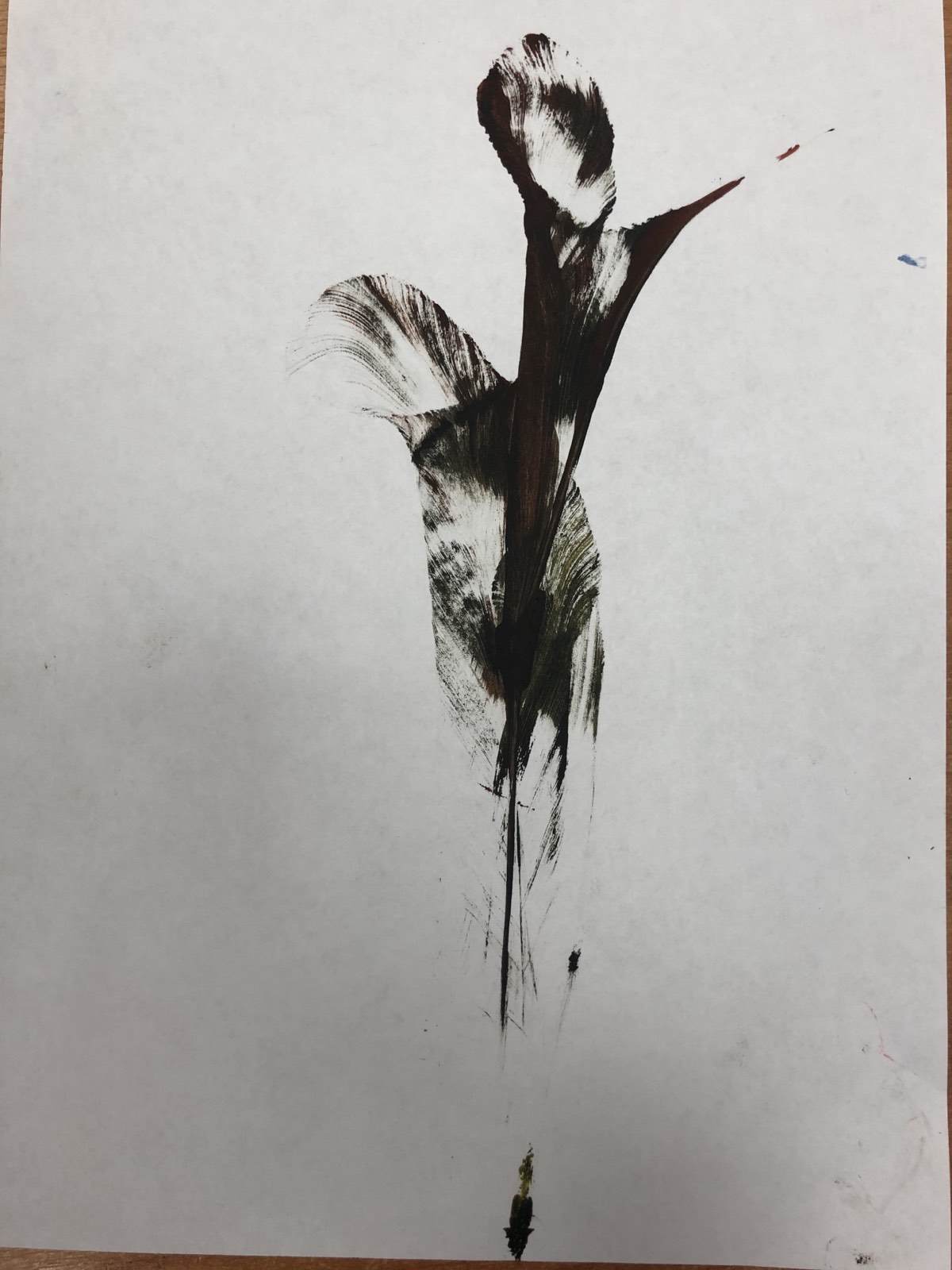 2 6